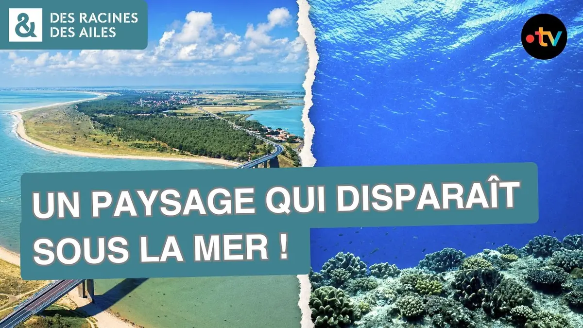 Ce patrimoine français risque de disparaître ? |…