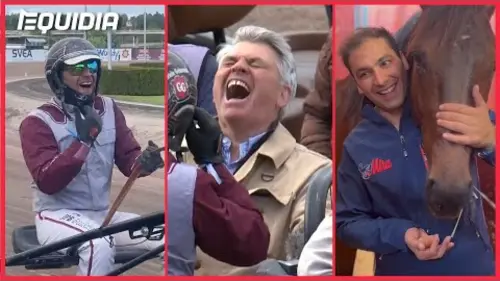 replay de CE QUE VOUS N'AVEZ PAS VU DANS L'ELITLOPP 2023 !