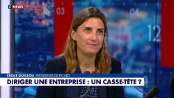 Cécile Guillou (Picard) : L'Hebdo de l'Éco (Émission du 29/11/2025)