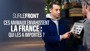 Ces animaux envahissent la France : qui les a importés