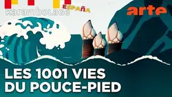 Cet animal que Bretons et Galiciens ont en commun - Karambolage España - ARTE