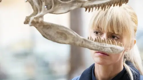 Astrid et Raphaëlle S01E03 Chaînon manquant