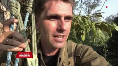 Chanee: Les animaux de la canopée