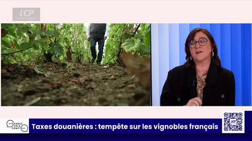 replay de Chaque voix compte - Demain, la fin du vin ?