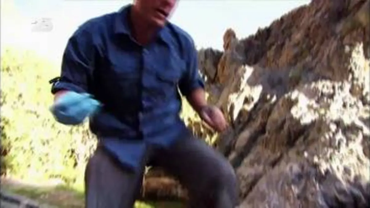 replay de Chasseur de venin - S1E06 - VF - Repla