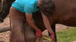 Chaussure à son pied