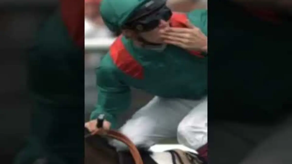 replay de CHEVAL DE LÉGENDE : ZARKAVA