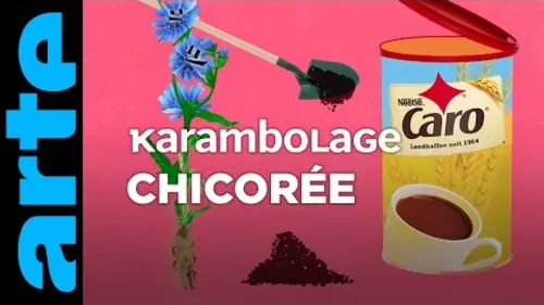 replay de Chicorée - Karambolage - ARTE