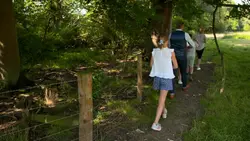 Chiens hors de contrôle - un dresseur à la rescousse : S2 E4 - En voiture