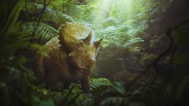 Clover, l'orpheline courageuse