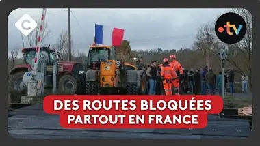 Colère des agriculteurs : opérations coup de poing - Le 5/5 de Lorrain Sénéchal