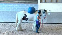 Colin Maillard et débourrage