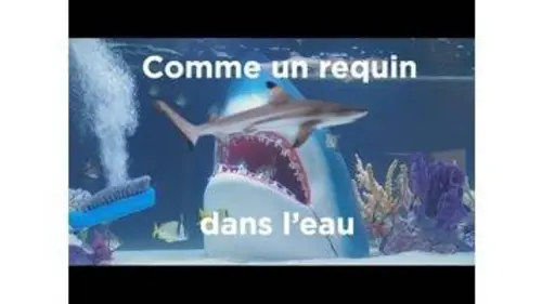 replay de Comme un requin dans l'eau : Aquamen