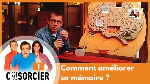 replay de Comment améliorer sa mémoire ? - C'est pas sorcier [Intégrale]