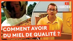 Comment avoir du miel de qualité ? - C'est pas sorcier
