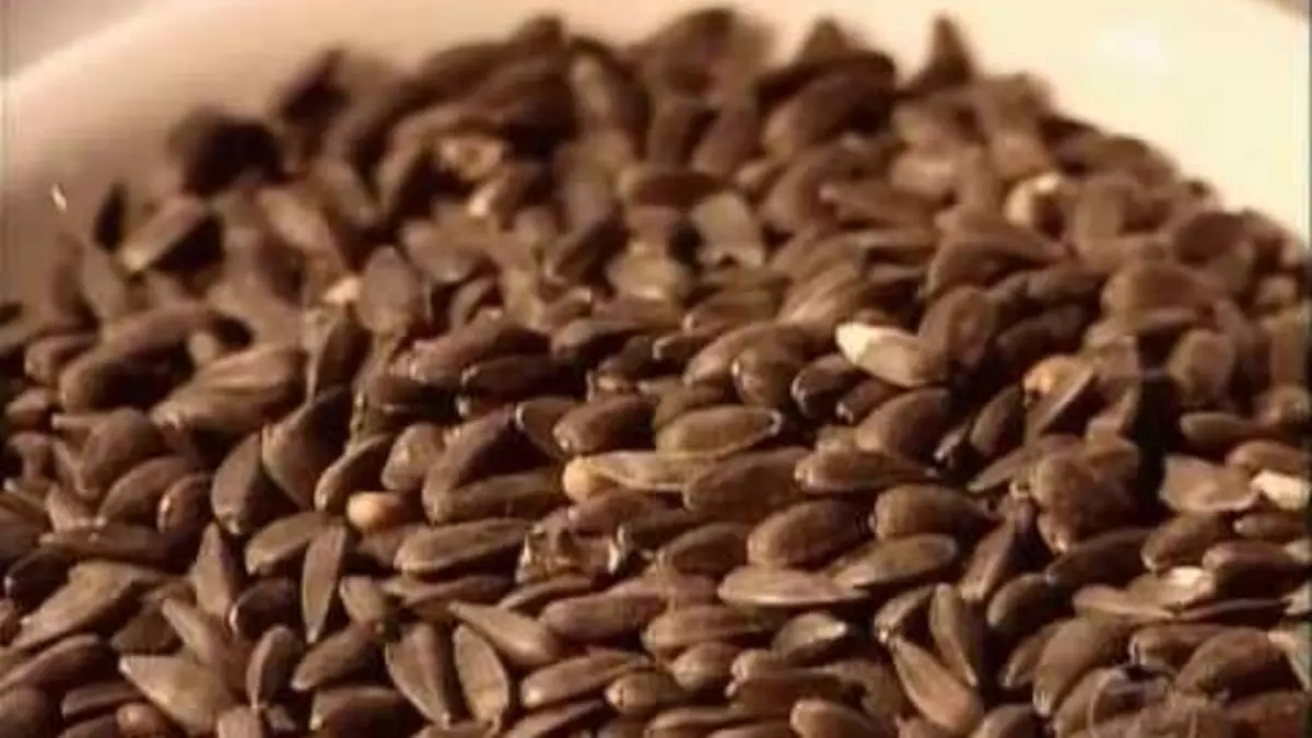 Comment C'est Fait - S03E03(Chargeuses…