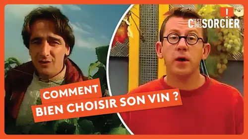 replay de Comment choisir un bon vin ? - C'est Pas Sorcier