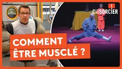 Comment être musclé ? - C'est pas sorcier