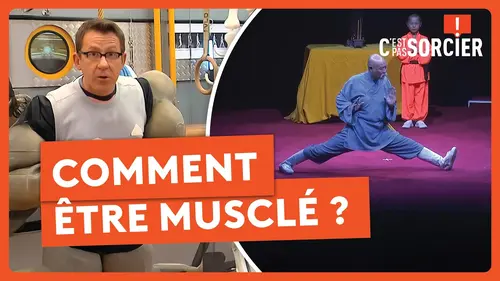 replay de Comment être musclé ? - C'est pas sorcier