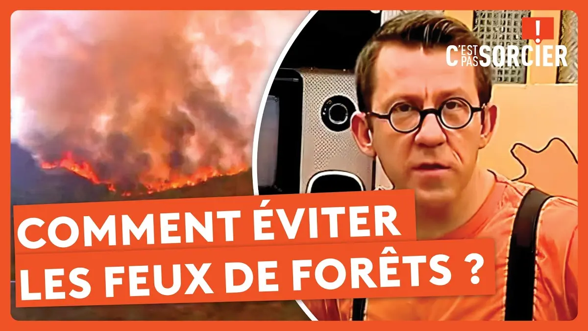 replay de Comment éviter les feux de forêts ? - C'est pas sorcier