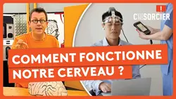 Comment fonctionne notre cerveau ? Part 1 - C'est pas sorcier