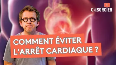Comment fonctionne notre coeur ? - C'est pas sorcier