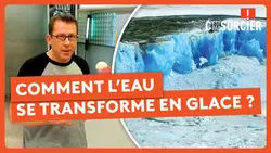 Comment l’eau se transforme en glace ? - C'est pas sorcier