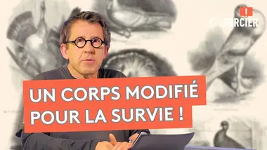Comment l’évolution modifie les corps ? - C'est pas sorcier