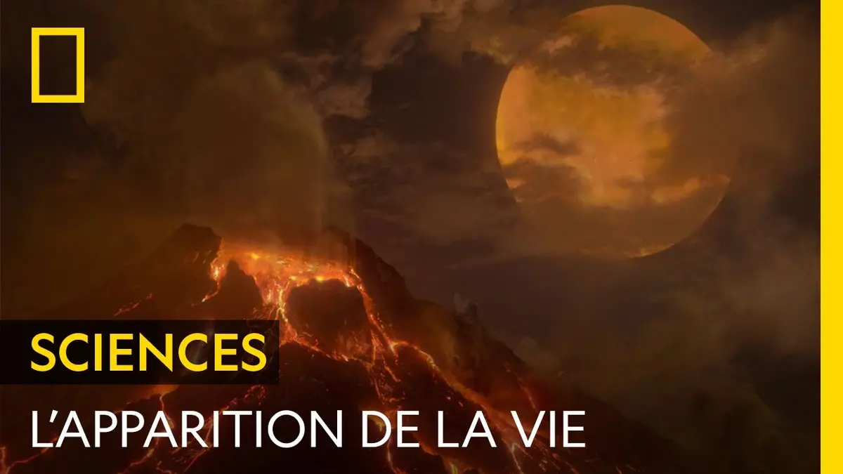 replay de Comment la vie est-elle apparue ?