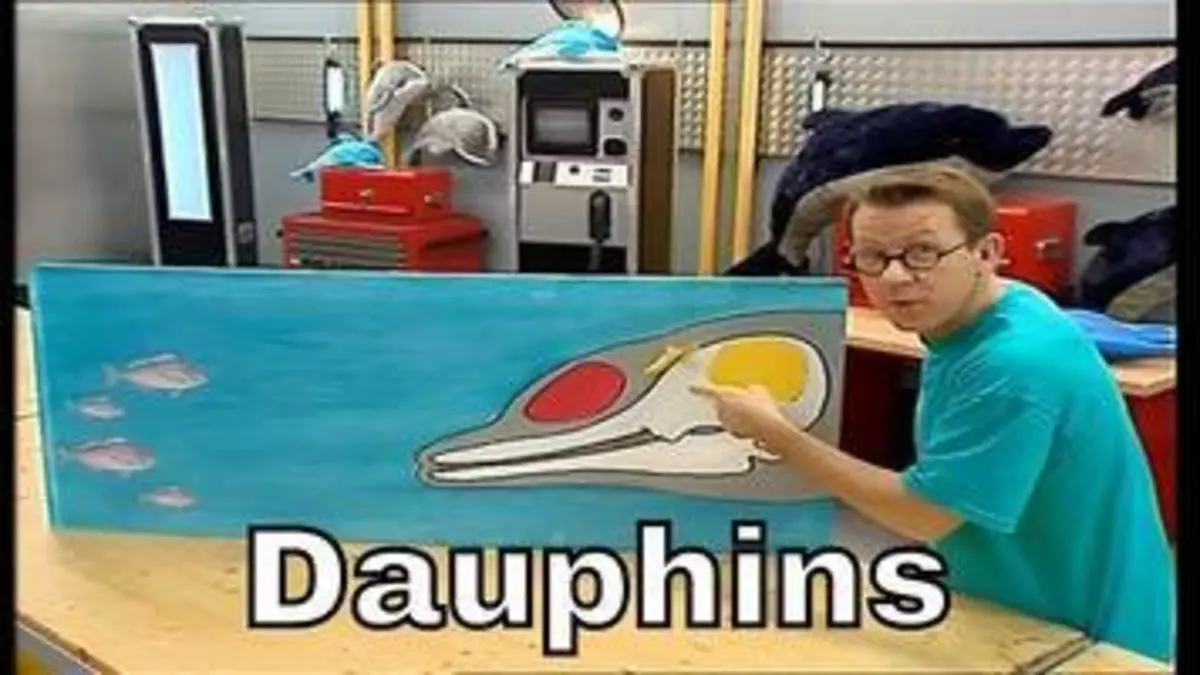 replay de Comment le sonar du dauphin fonctionne-t-il ? - C'est Pas Sorcier