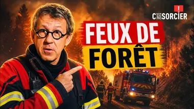 Comment les pompiers réagissent face aux feux de forêt ? - C'est pas sorcier