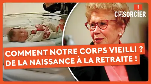 replay de Comment notre corps vieilli ? : De la naissance à la retraite ! - C'est pas sorcier