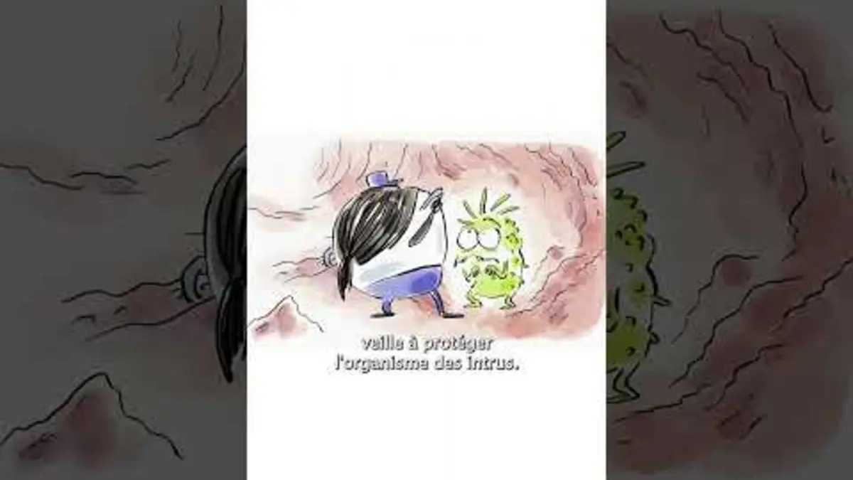 replay de ? Comment on fait une greffe de visage ? #science #tmmb