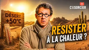 Comment on résiste à la chaleur dans le désert ? - C'est pas sorcier