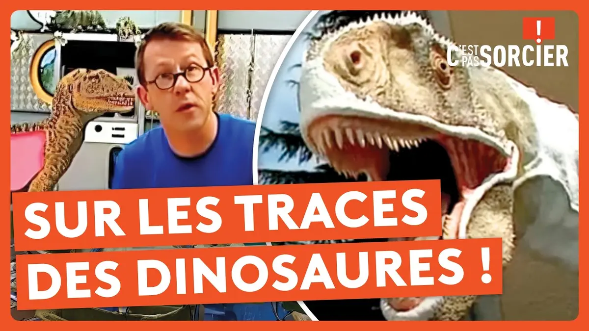 replay de Comment ont disparu les dinosaures ? - C'est pas sorcier