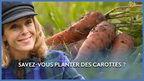 replay de Comment planter des carottes ?- Les Potagers de Julie