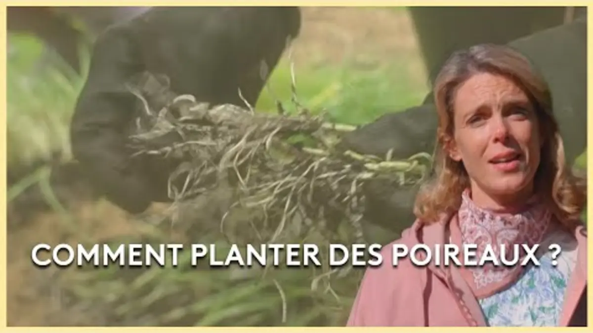 replay de Comment planter des poireaux ? - Les Potagers de Julie