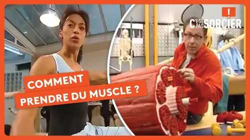 replay de Comment prendre du muscle ? - C'est pas sorcier