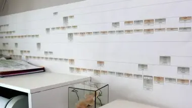 Comment préparer son arbre généalogique ?