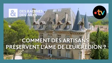 Comment préserver l’héritage et l’identité de la Provence ? - Des Racines et Des Ailes