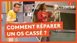 Comment réparer un os cassé ? - C'est pas sorcier