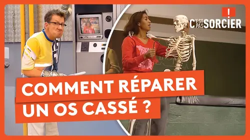replay de Comment réparer un os cassé ? - C'est pas sorcier