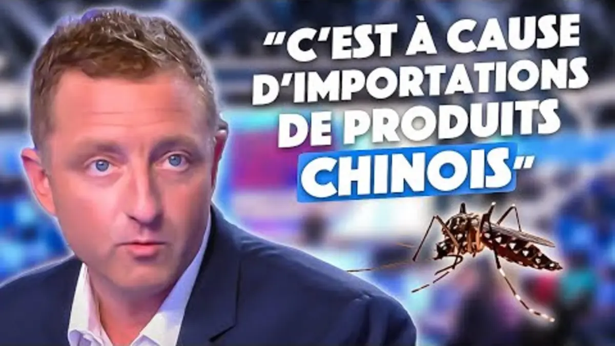 replay de Comment se débarrasser des moustiques tigres ?