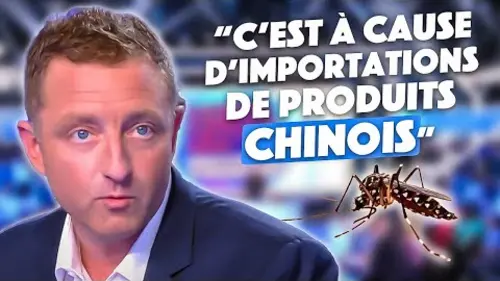 replay de Comment se débarrasser des moustiques tigres ?