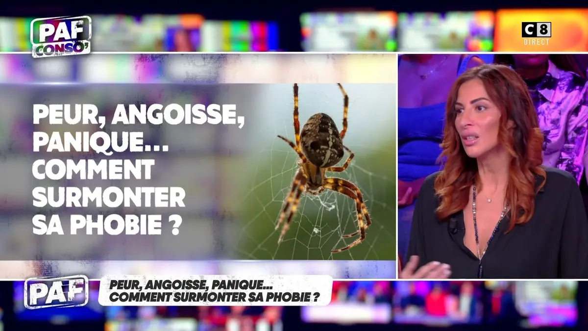 replay de Comment surmonter ses phobies ?