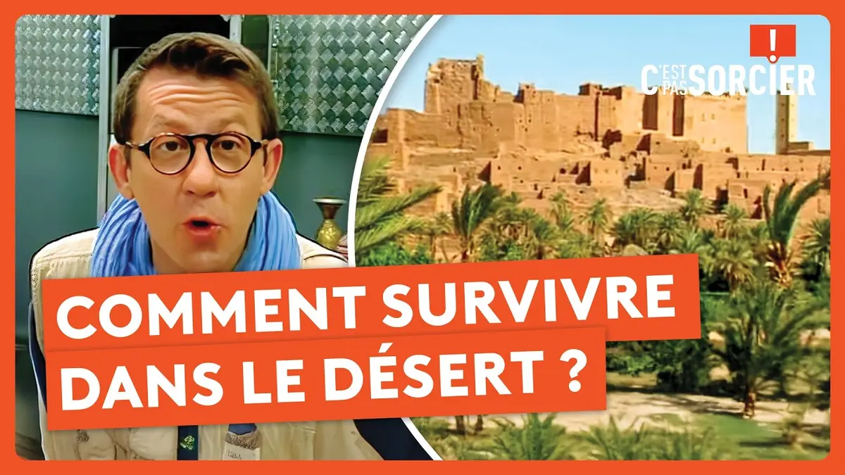 replay de Comment survivre dans le désert ? - C'est pas sorcier