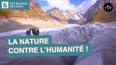 Comment survivre en haute montagne ? - Des racines et des ailes - Documentaire France TV