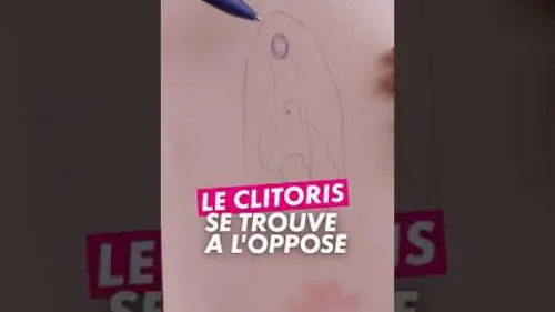 replay de Comment trouver le clit0ris ?