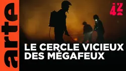 Comment vivre avec le feu ? | 42 - La réponse à presque tout | ARTE