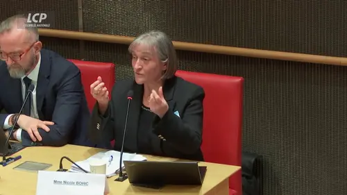 replay de Commission d'enquête sur les crèches : contrôle CAF / PMI